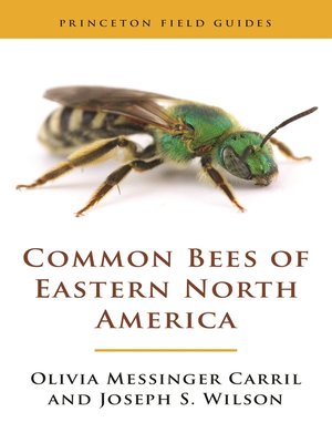 cover image of Common Bees of Eastern North America